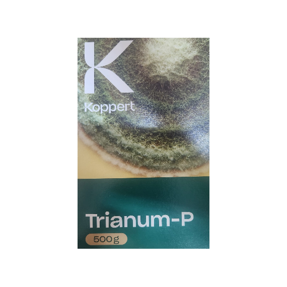 Trianum- P