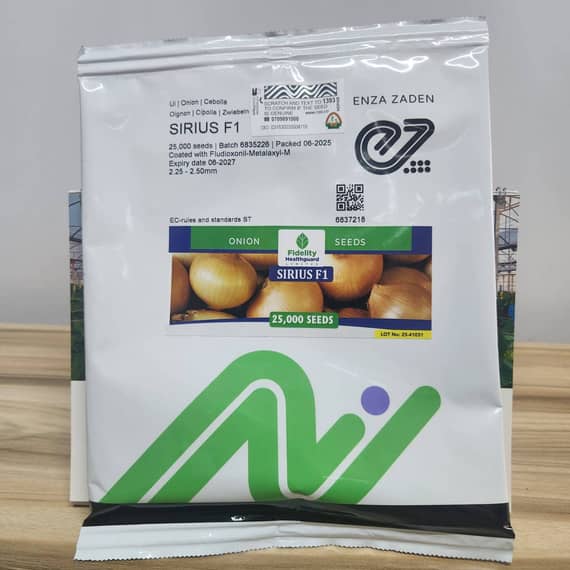 Sirius F1 Onion
