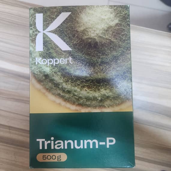 Trianum- P