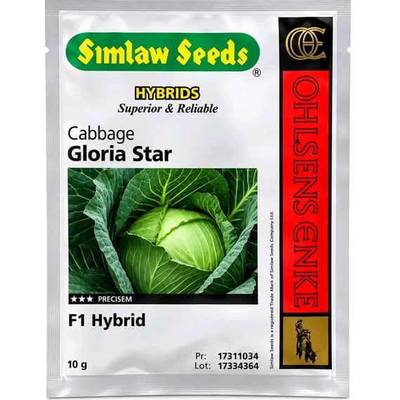 Gloria Star F1