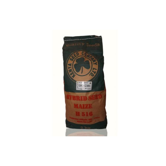 PH4 Hybrid seed maize - 2Kg