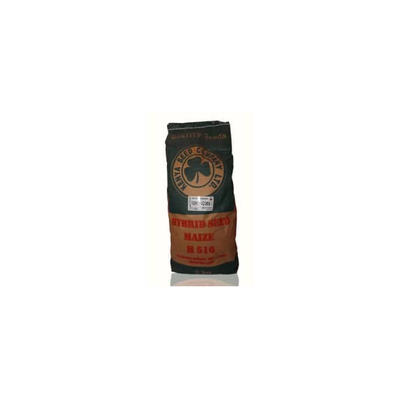 H6213 Hybrid Seed Maize - 2Kg