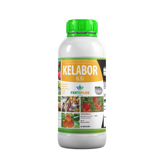 Kelabor
