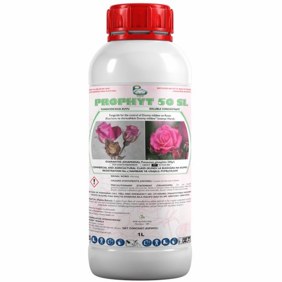 Prophyt