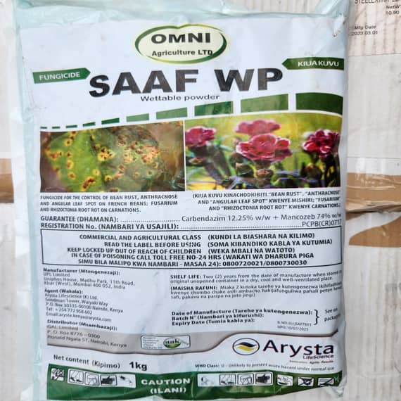 Saaf WP