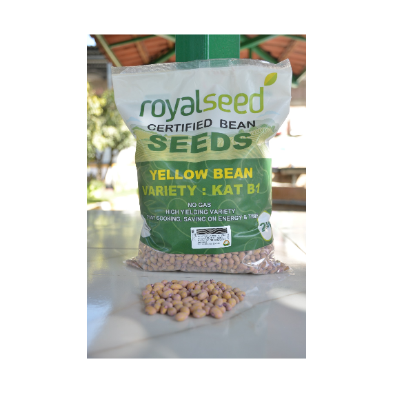 Yellow Beans KAT B1 - 2Kg