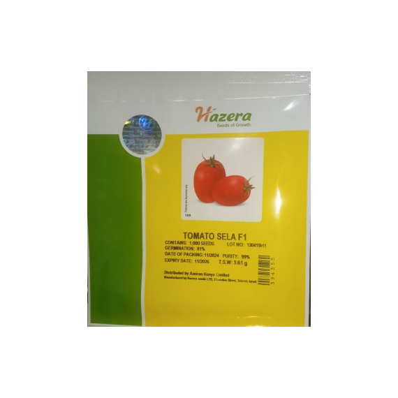 Tomato Sela F1