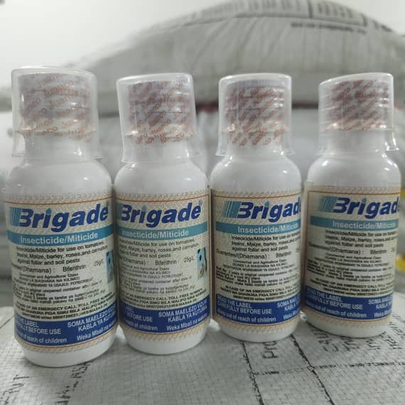 Brigade 25EC